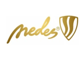 Nedes logo